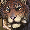 Tigon: Shrooms